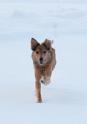 vriendin chelsey _30-01-10_3
